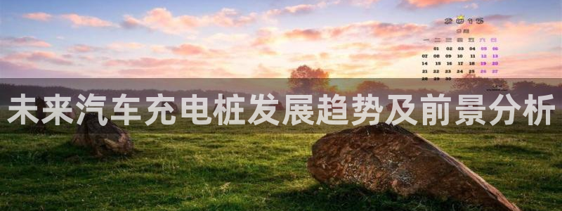 威廉希尔欧冠初盘的分析的胜负关系：未来汽车充电桩发展趋势及前景分析