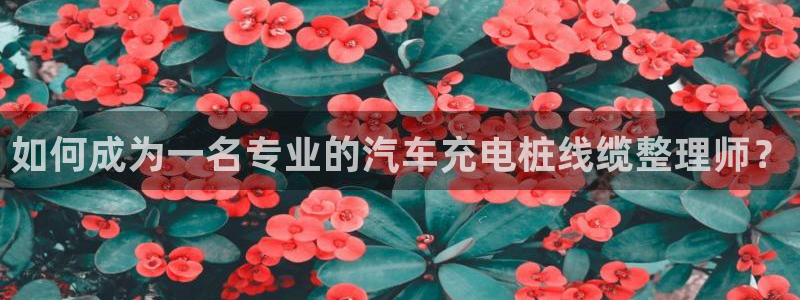 威廉希尔官网手机客户端：如何成为一名专业的汽车充电桩线缆整理师？