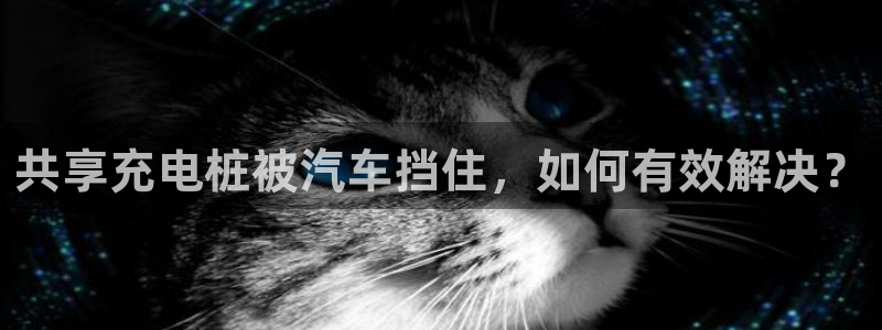 威廉希尔让球盘和竞彩让球盘对比：共享充电桩被汽车挡住，如何有效解决？