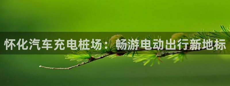 威廉体育下载地址在哪：怀化汽车充电桩场：畅游电动出行新地标