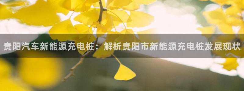 巴甲威廉希尔初赔：贵阳汽车新能源充电桩：解析贵阳市新能源充电桩发展现状