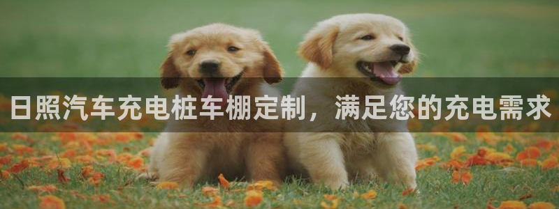 威廉希尔和365开盘特点：日照汽车充电桩车棚定制，满足您的充电需求