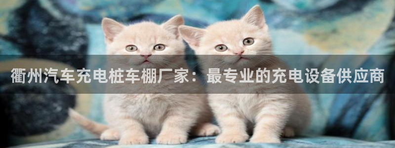 威廉希尔操盘手法总结：衢州汽车充电桩车棚厂家：最专业的充电设备供应商