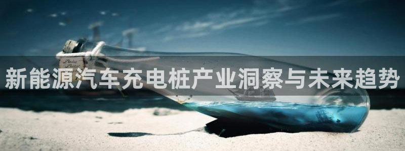 威廉希尔和interwetten：新能源汽车充电桩产业洞察与未来趋势