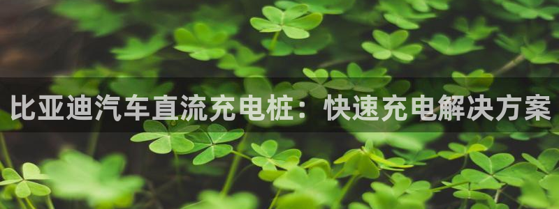 威廉希尔介绍：比亚迪汽车直流充电桩：快速充电解决方案