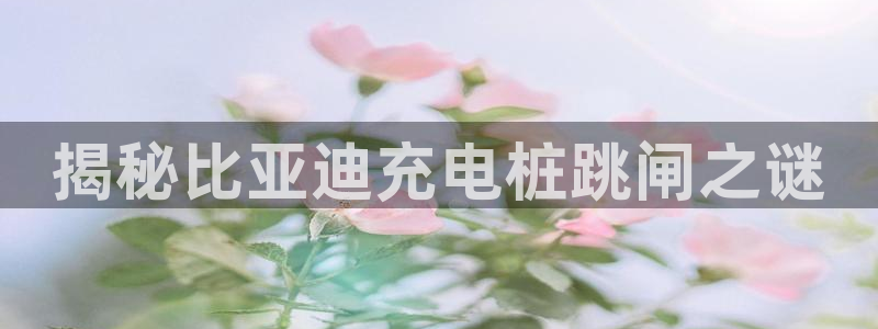 威廉希尔不开盘的比赛是什么结果呢视频：揭秘比亚迪充电桩跳闸之谜
