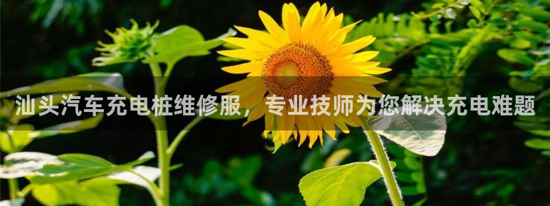 威廉希尔 1.75 3.90 4.20：汕头汽车充电桩维修服，专业技师为您解决充电难题