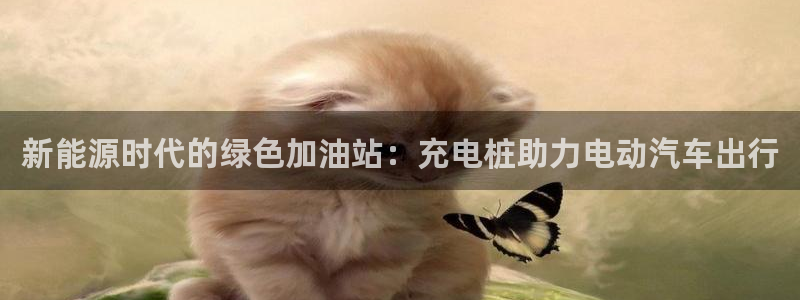威廉希尔大小球对应水位