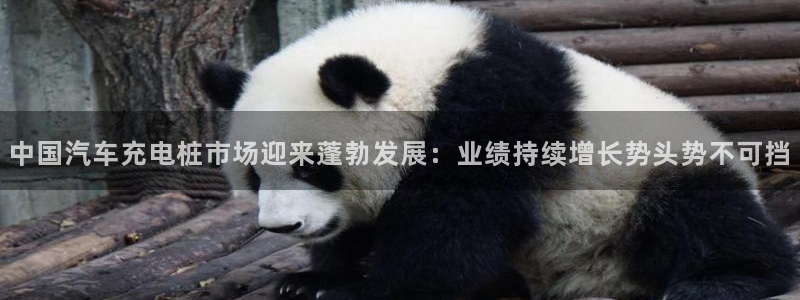 澳门与威廉主胜一致：中国汽车充电桩市场迎来蓬勃发展：业绩持续增长势头势不可挡