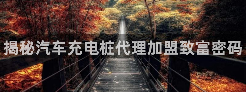 威廉国际app下载官网：揭秘汽车充电桩代理加盟致富密码