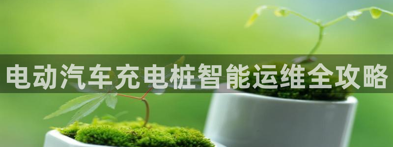 球员威廉：电动汽车充电桩智能运维全攻略