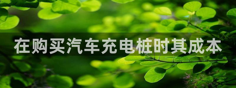 威廉希尔是什么水平的公司啊：在购买汽车充电桩时其成本