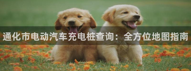 威廉希尔it