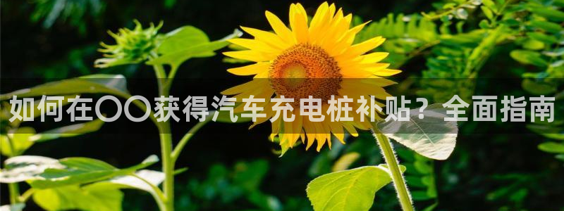 威廉希尔有限公司是国企吗