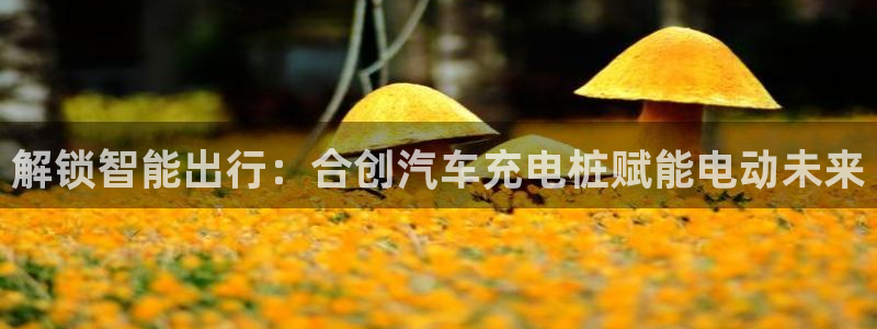 威廉希尔让球盘和竞彩让球盘对比