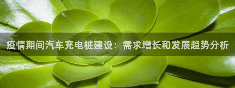 威廉希尔公司足球数据：疫情期间汽车充电桩建设：需求增长和发展趋势分析