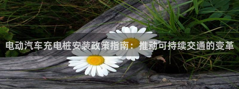 威廉体育官方app下载苹果手机：电动汽车充电桩安装政策指南：推动可持续交通的变革