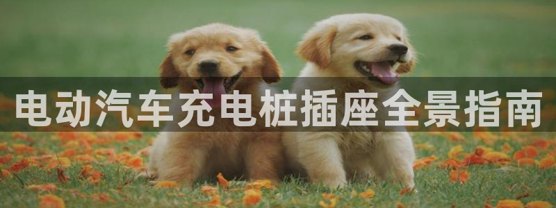 威廉希尔在国内怎么用