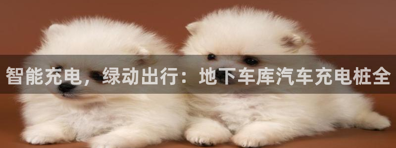 搜索威廉游戏主页