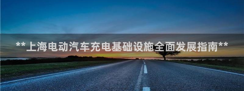 威廉希尔大小球判断方法：**上海电动汽车充电基础设施全面发展指南**