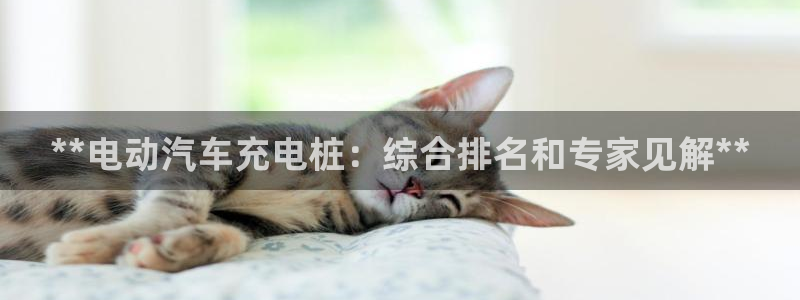 法甲威廉希尔2023年2月2号南特VS马塞