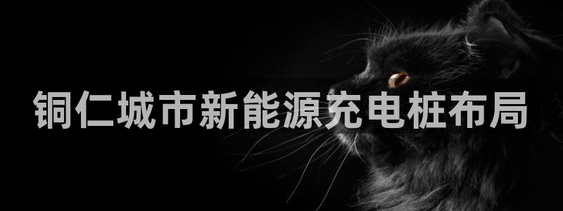 威廉希尔足球官网：铜仁城市新能源充电桩布局
