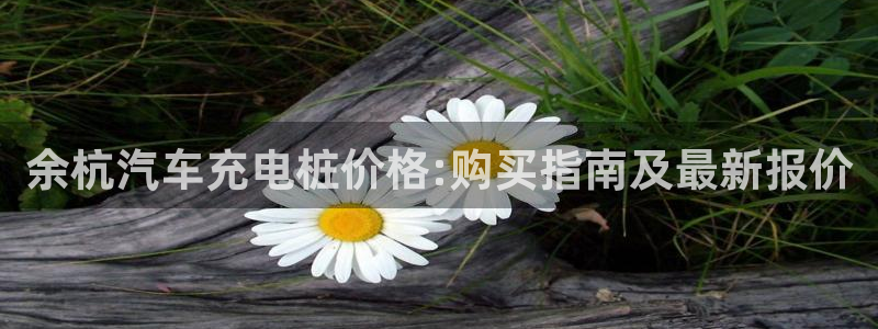 威廉希尔 1.95 3.20 3.50