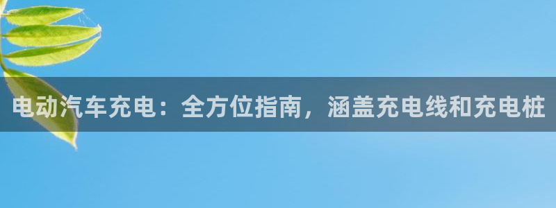 威廉希尔不开盘的比赛是什么结果呢：电动汽车充电：全方位指南，涵盖充电线和充电桩