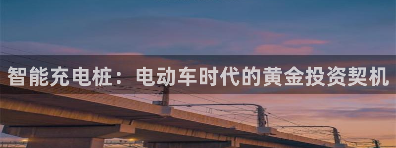 威廉希尔体系标准表：智能充电桩：电动车时代的黄金投资契机