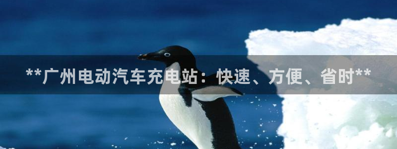 威廉希尔指数分析：**广州电动汽车充电站：快速、方便、省时**
