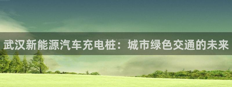 威廉希尔 500：武汉新能源汽车充电桩：城市绿色交通的未来
