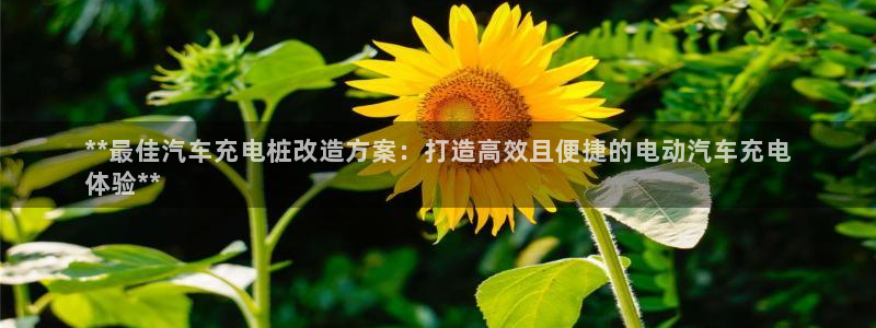 威廉希尔顿网址