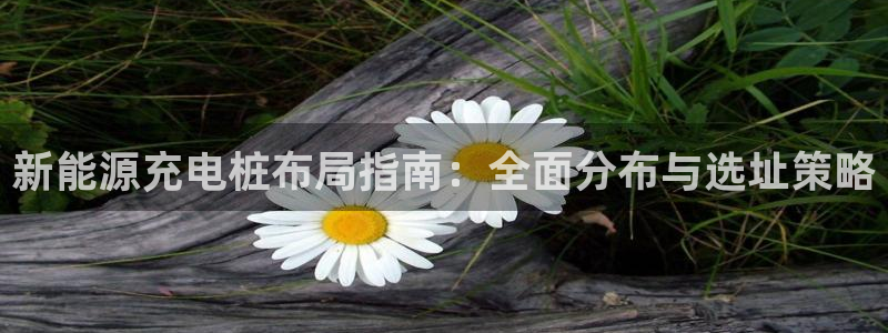 威廉体育官方app下载安卓苹果：新能源充电桩布局指南：全面分布与选址策略