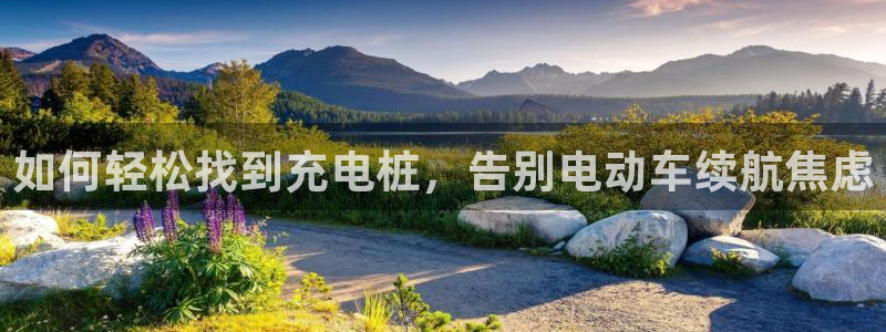 威廉希尔服务器在哪：如何轻松找到充电桩，告别电动车续航焦虑