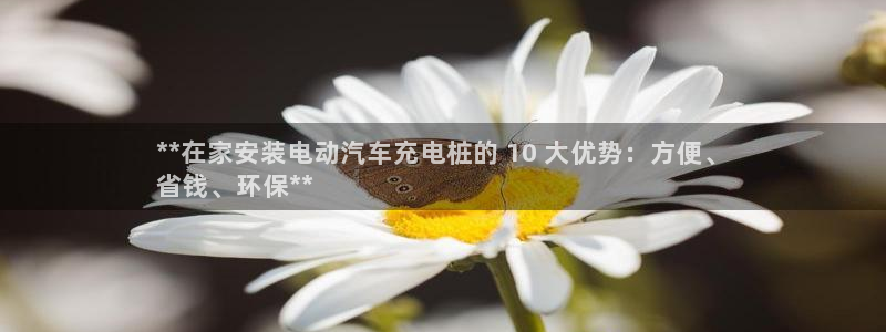 如何看懂威廉希尔指数：**在家安装电动汽车充电桩的 10 大优势：方便、
省钱、环保**