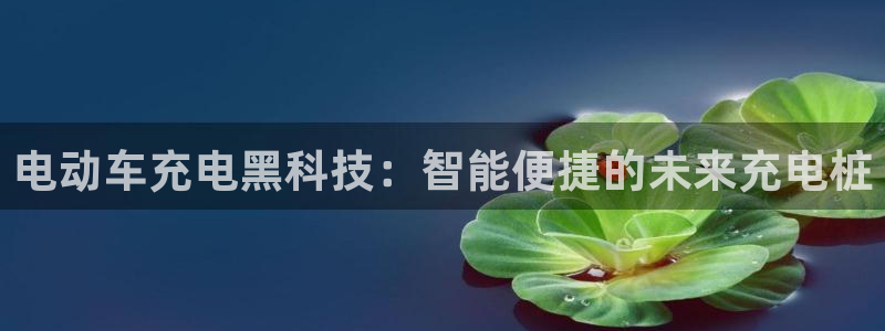 威廉希尔足球官网 百科