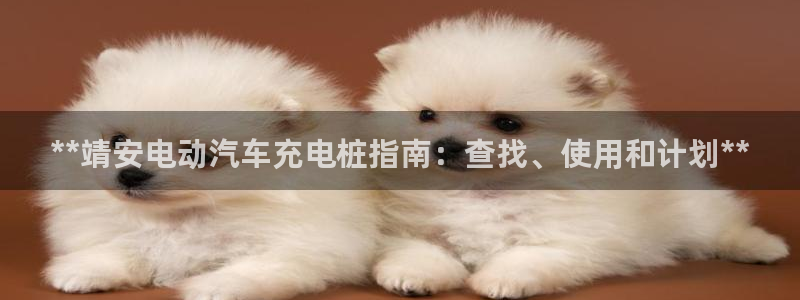 意甲威廉希尔初赔：**靖安电动汽车充电桩指南：查找、使用和计划**