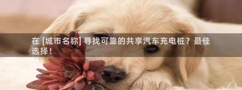 威廉希尔对比哪家公司