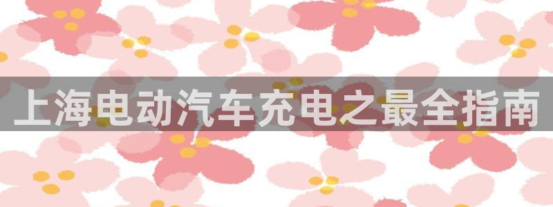 足球员威廉：上海电动汽车充电之最全指南