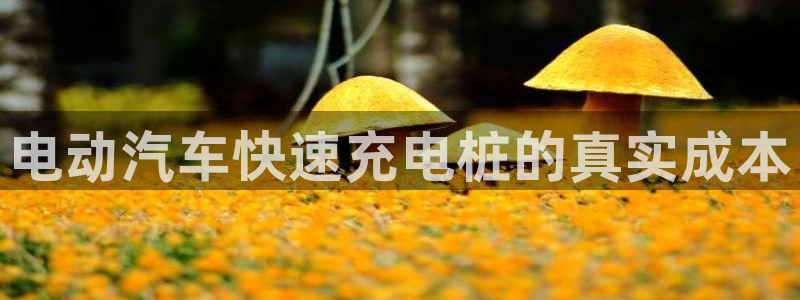 欧冠威廉希尔初赔：电动汽车快速充电桩的真实成本