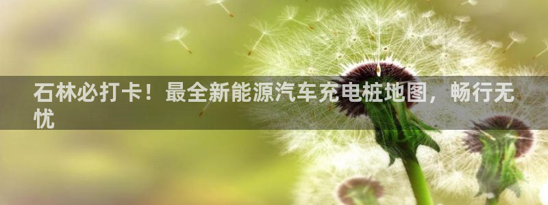 威廉和澳门：石林必打卡！最全新能源汽车充电桩地图，畅行无
忧