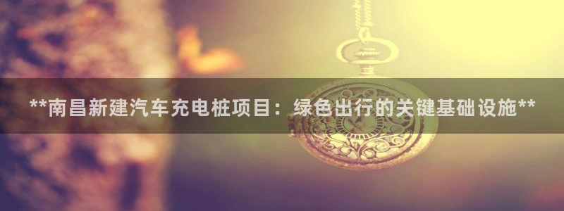 威廉希尔公司地址：**南昌新建汽车充电桩项目：绿色出行的关键基础设施**
