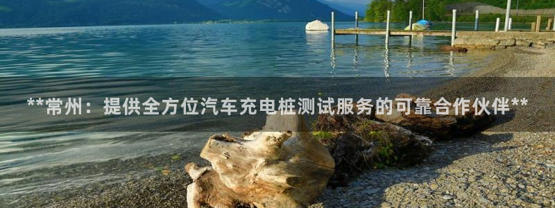 威廉游戏主页：**常州：提供全方位汽车充电桩测试服务的可靠合作伙伴**