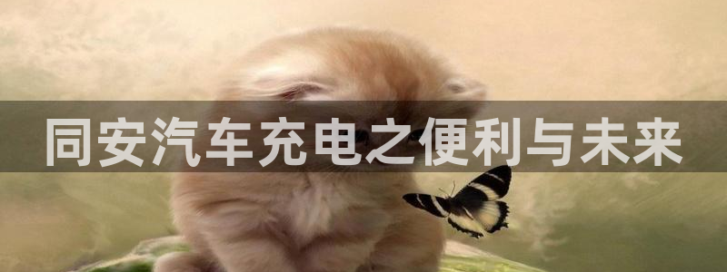 威廉体育官方app下载安装手机版：同安汽车充电之便利与未来