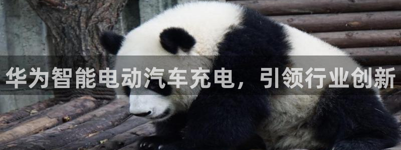 威廉指数100：华为智能电动汽车充电，引领行业创新