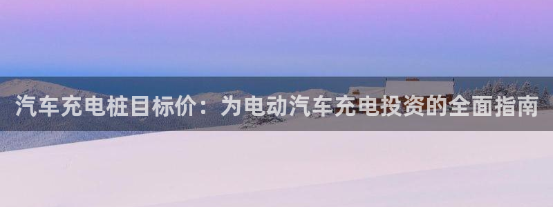威廉希尔浏览器国际版：汽车充电桩目标价：为电动汽车充电投资的全面指南