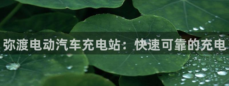 威廉足球软件下载安卓：弥渡电动汽车充电站：快速可靠的充电