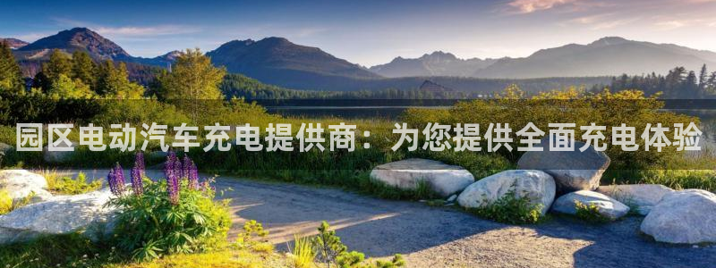 威廉希尔 1.70 4.20 4.20：园区电动汽车充电提供商：为您提供全面充电体验