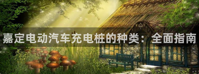 威廉希尔是什么水平的公司：嘉定电动汽车充电桩的种类：全面指南