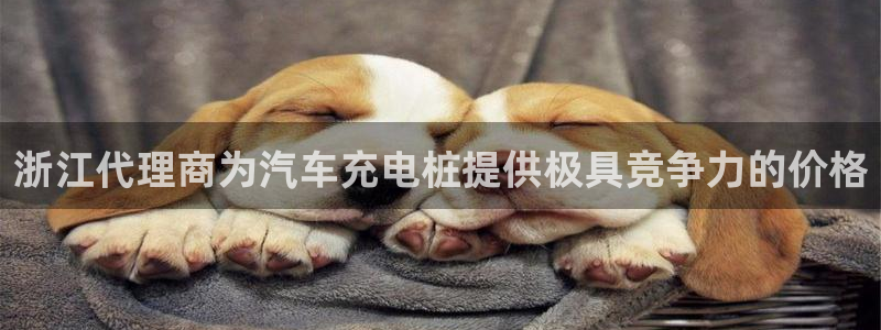 威廉国际公司：浙江代理商为汽车充电桩提供极具竞争力的价格